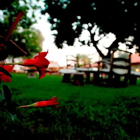 호텔 The Grand Uecel