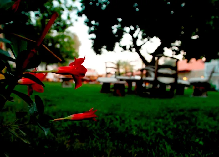 Hotel The Grand Uecel